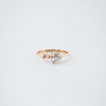 Liora Moonstone Ring | Rose Quartz, 10k Gold Plated Sterling Silver 0