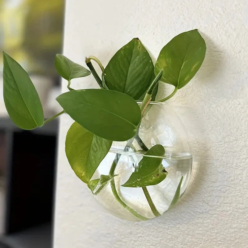 Wall Hanging Glass Plant Terrarium