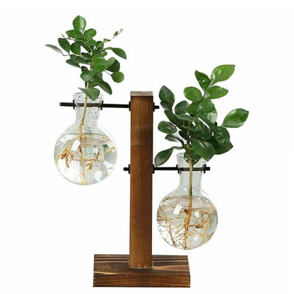 Glass Planter Bulb Vase With Wooden Stand