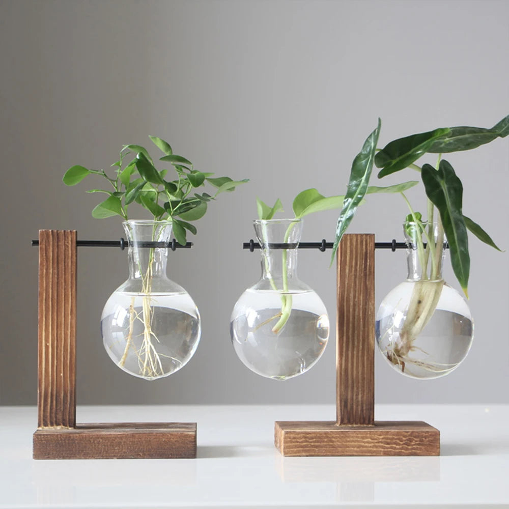 Glass Planter Bulb Vase With Wooden Stand